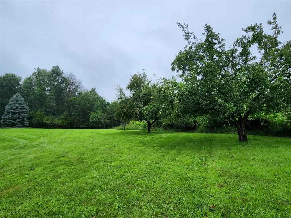 Fruit Trees