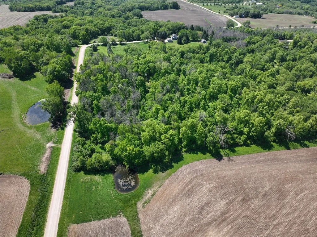 North View