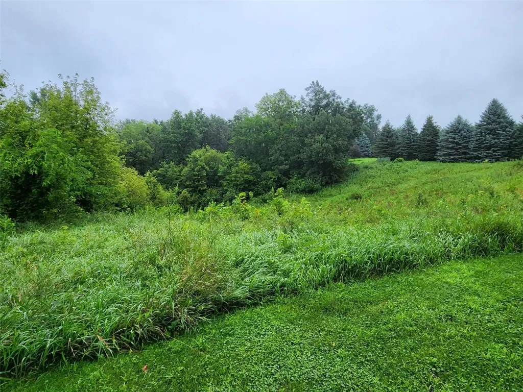 Pasture