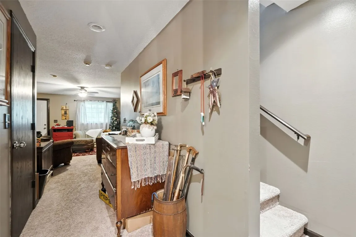 Lower level with a walkout
