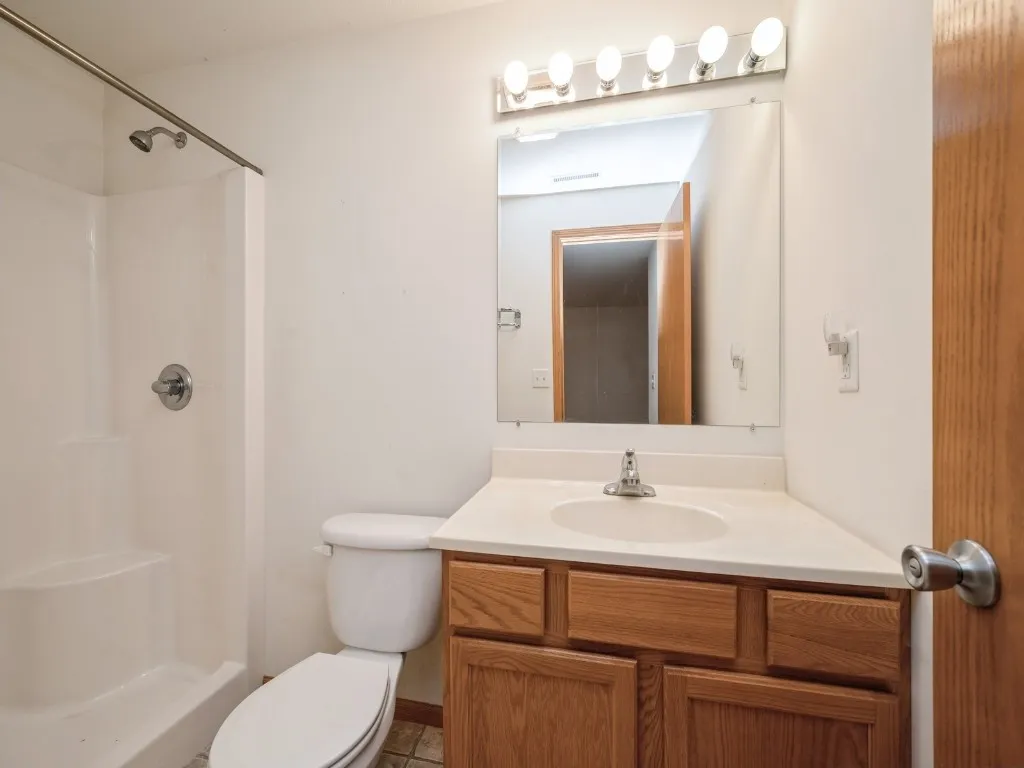 Lower level bathroom
