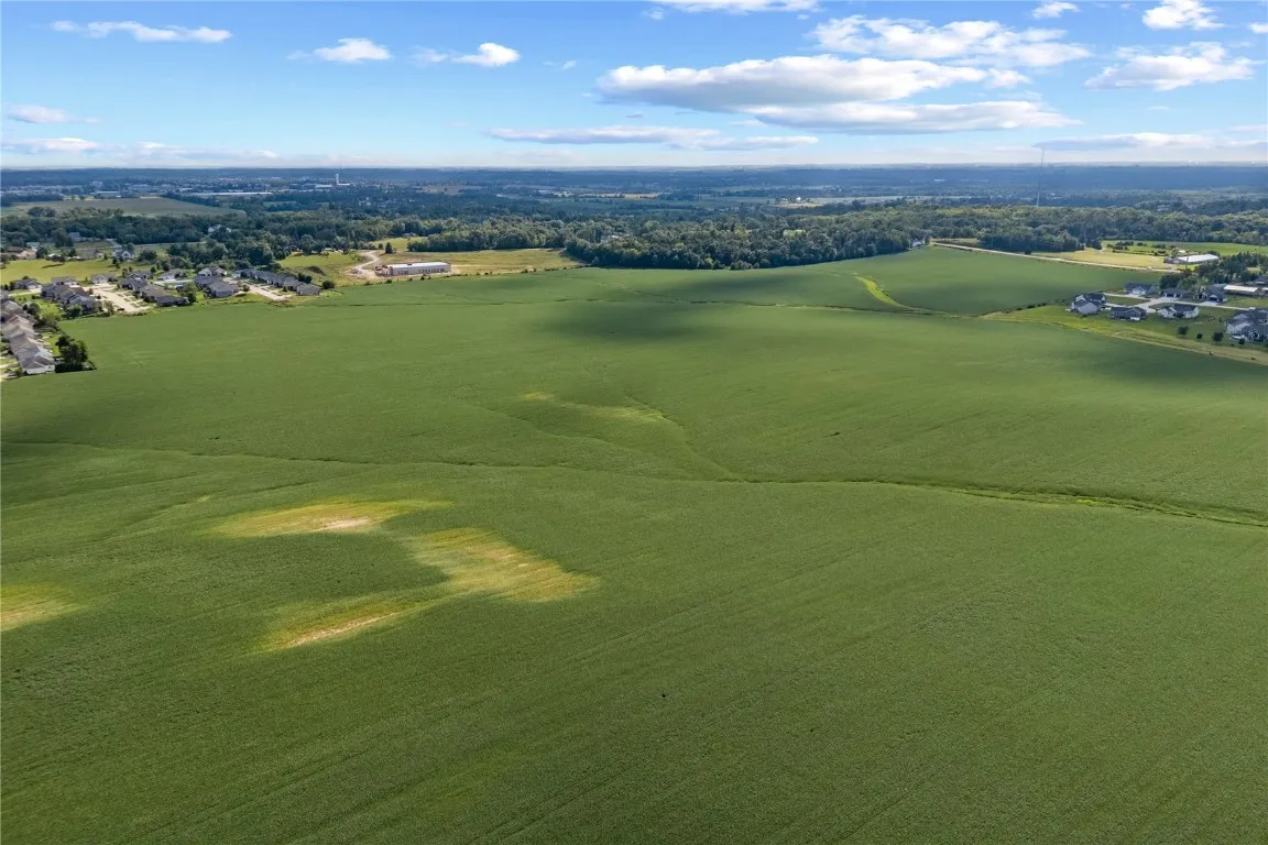 Overall view of all lots