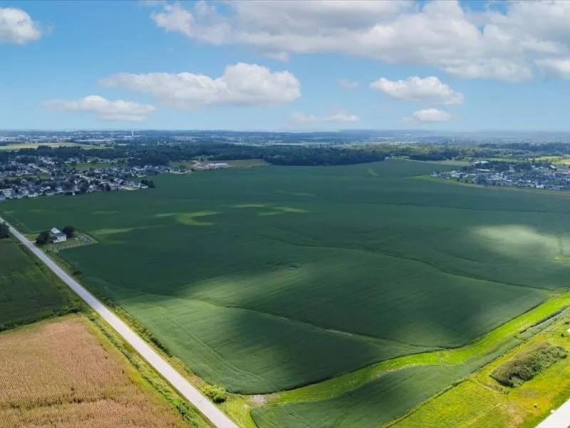 Overall view of all lots