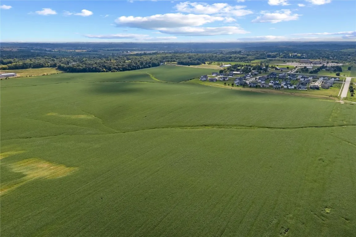 Overall view of all lots
