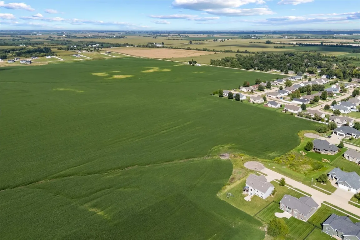 Overall view of all lots