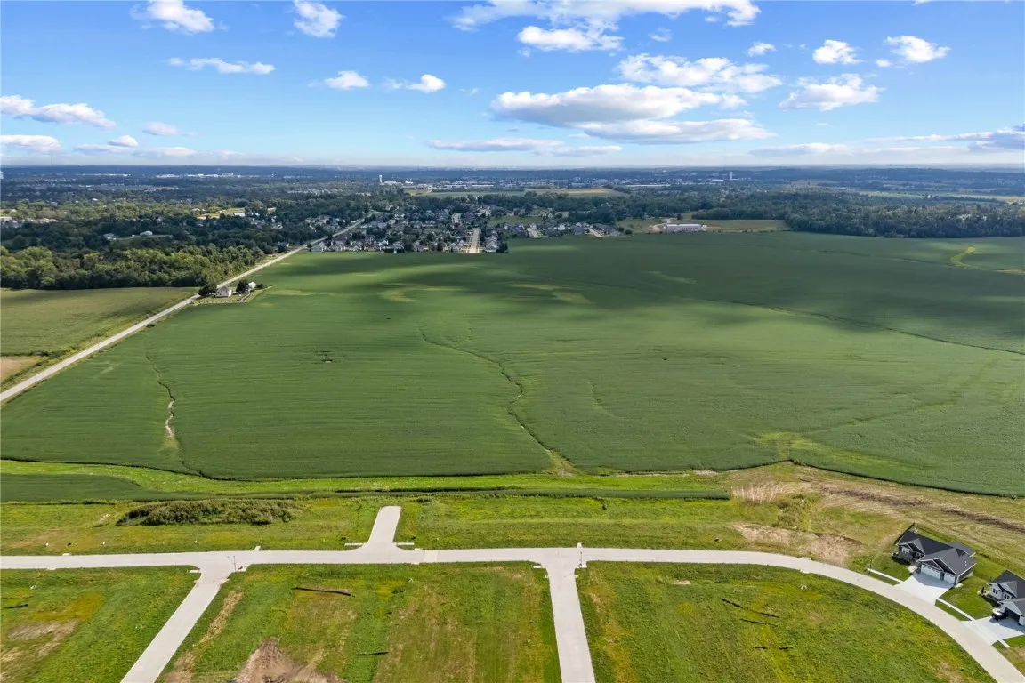 Overall view of all lots