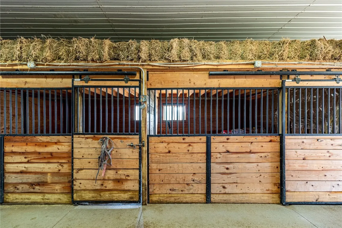 Horse Pasture