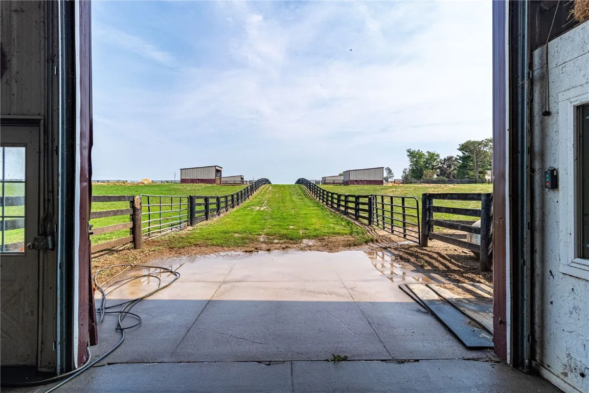 Horse Pasture