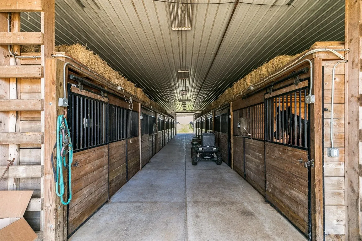 Horse stable with concrete floors