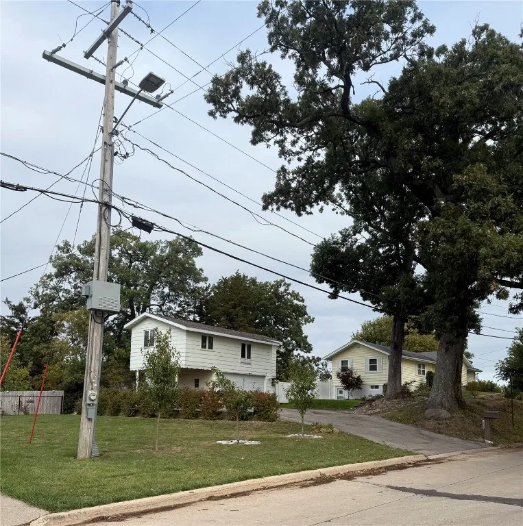 3 pear trees and one river birch