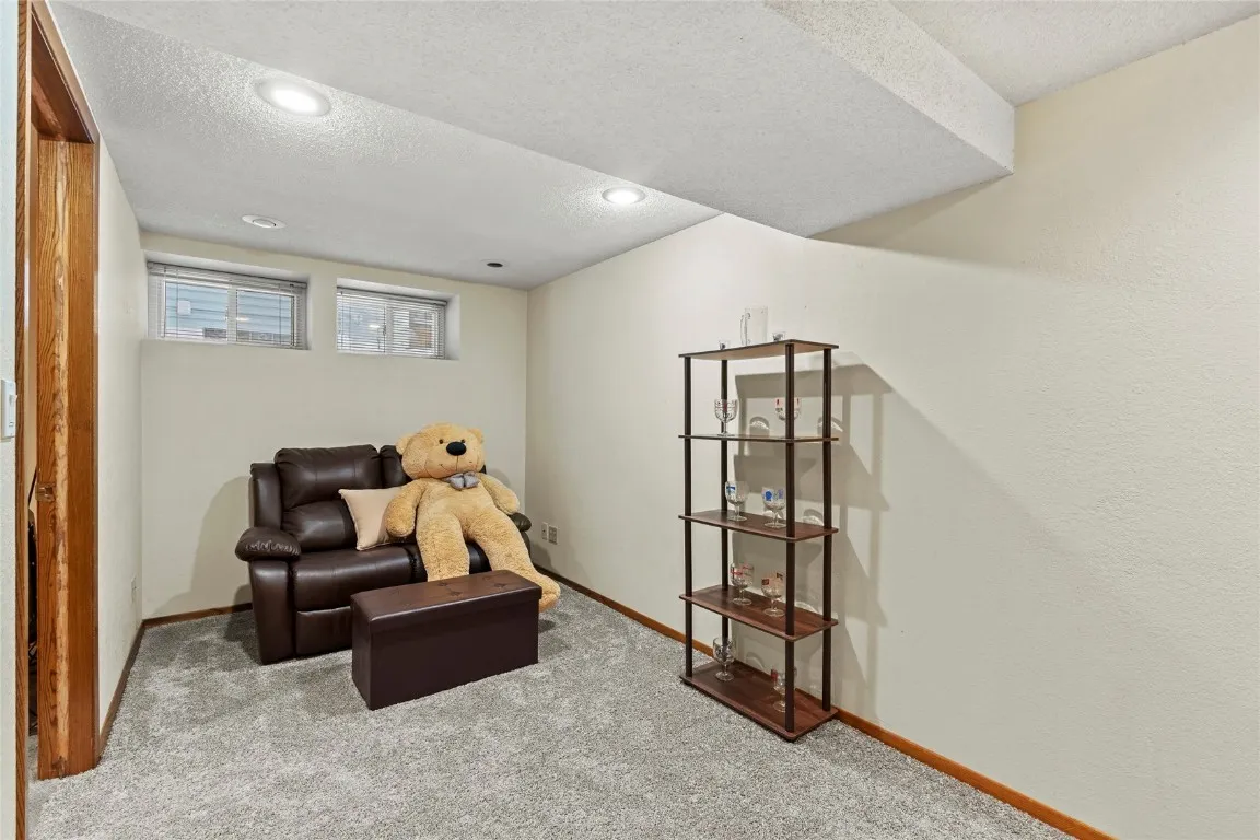Basement Rec Room