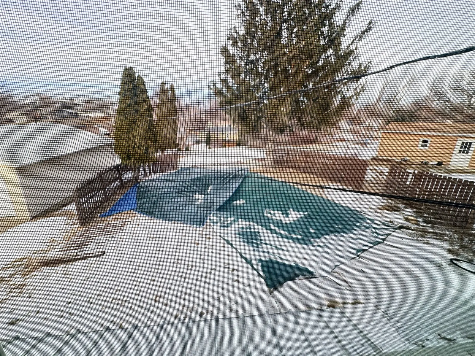 In-ground pool/ yard