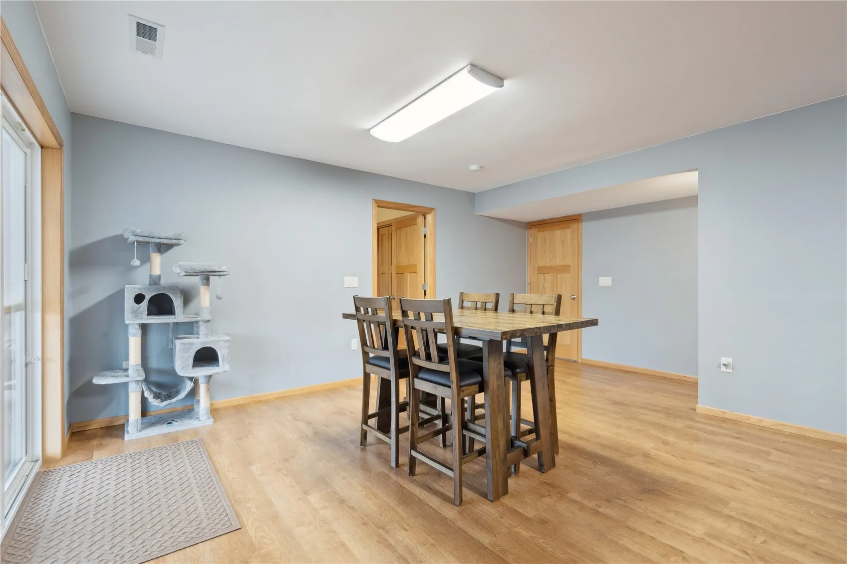 Lower level family/recreation room area