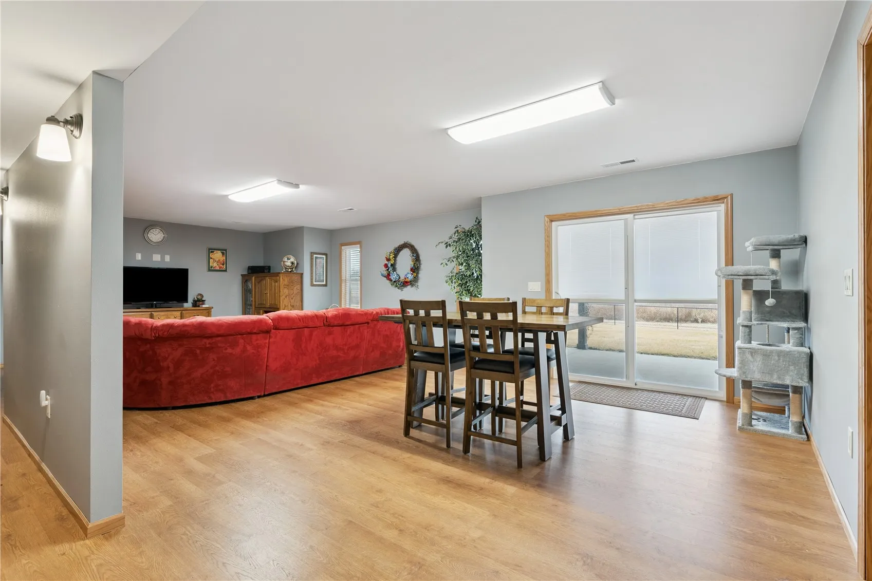 Lower level family/recreation room area