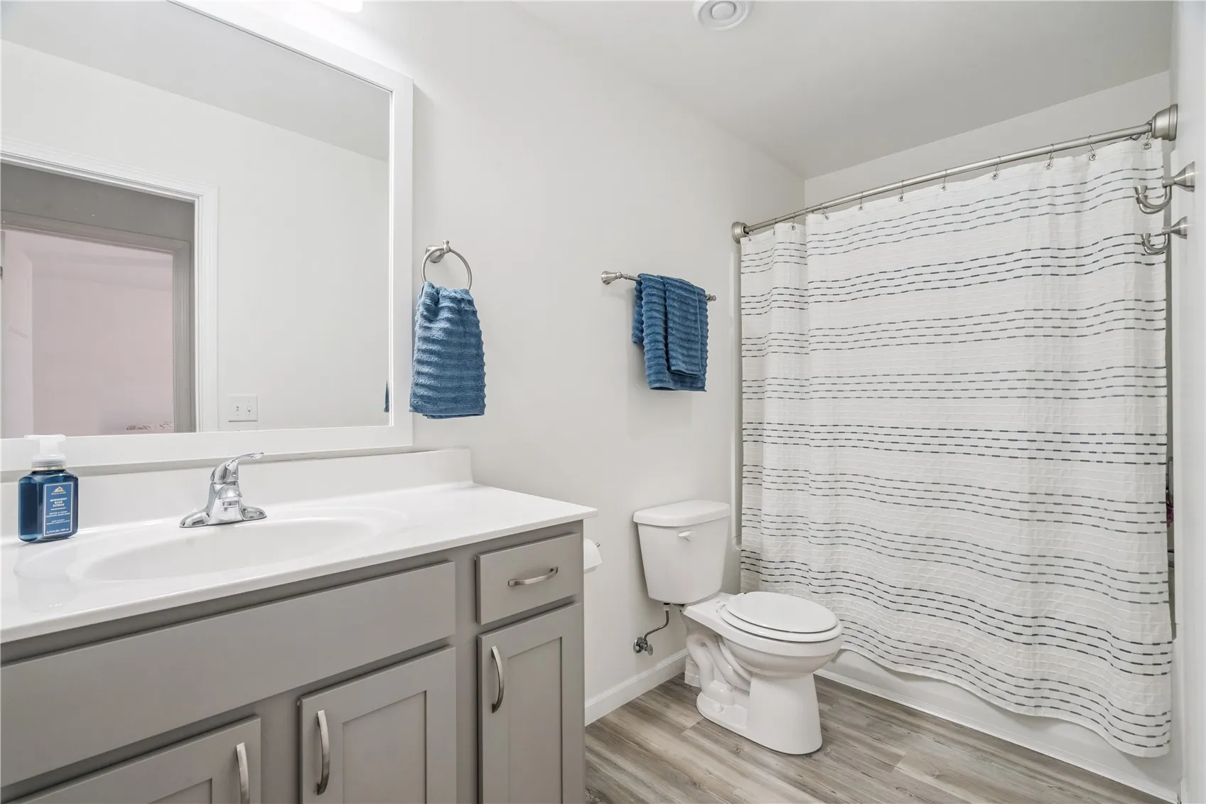 Lower Level Bathroom