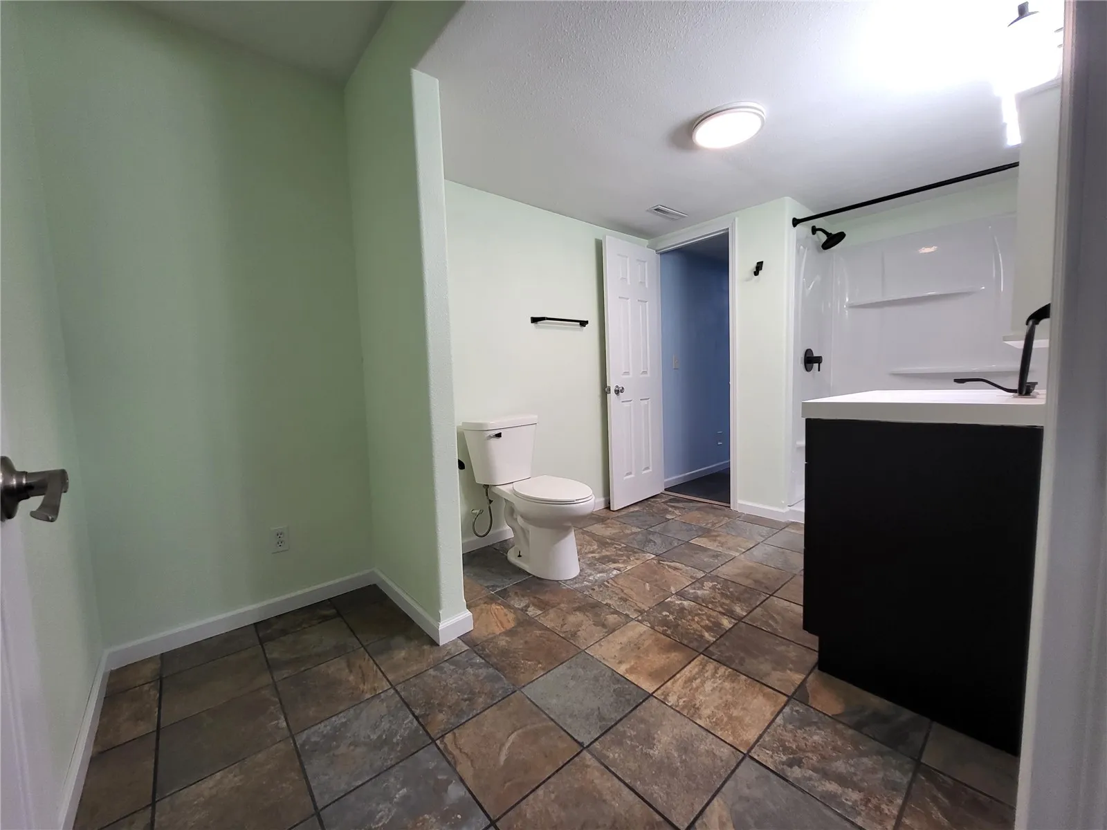 Large LL full Bathroom w/walk-in shower