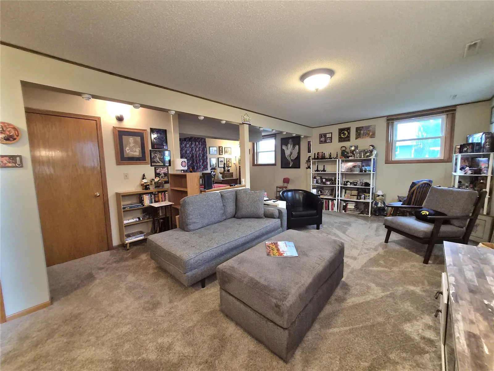 Lower lever large family room with window that provide natural lights.