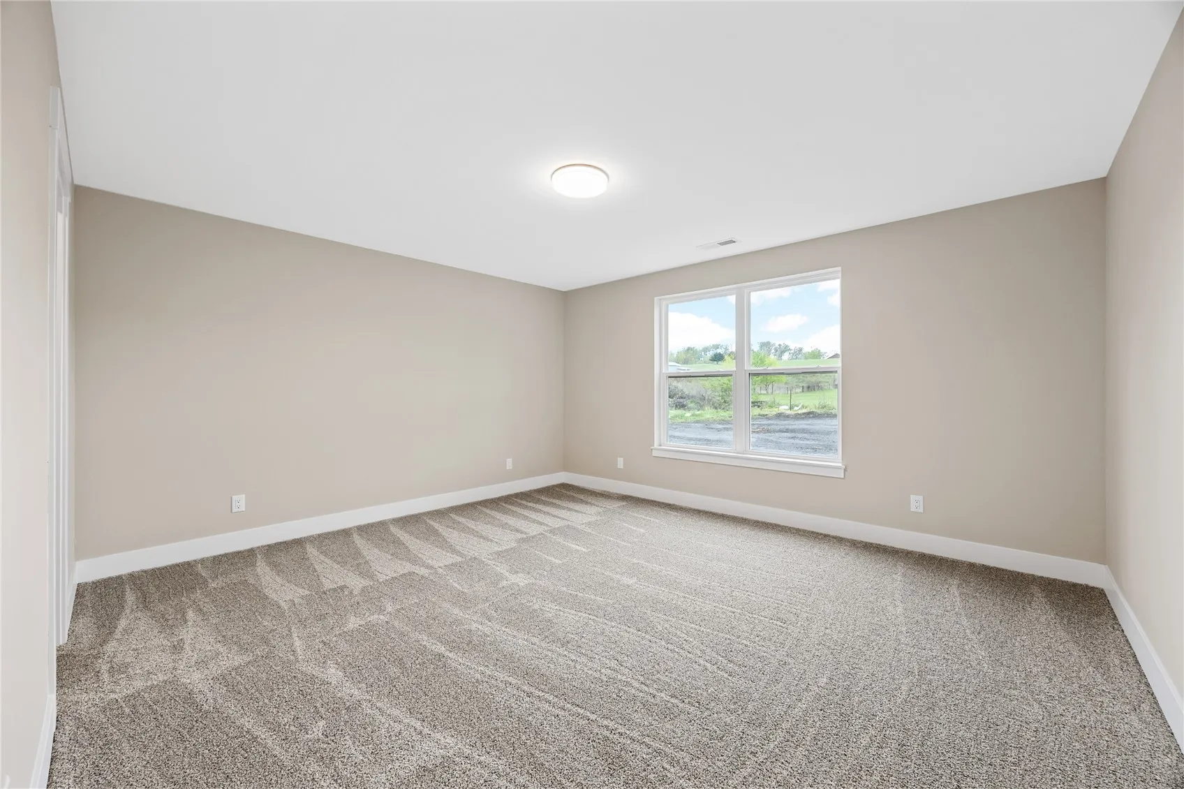 Lower Level bedroom
