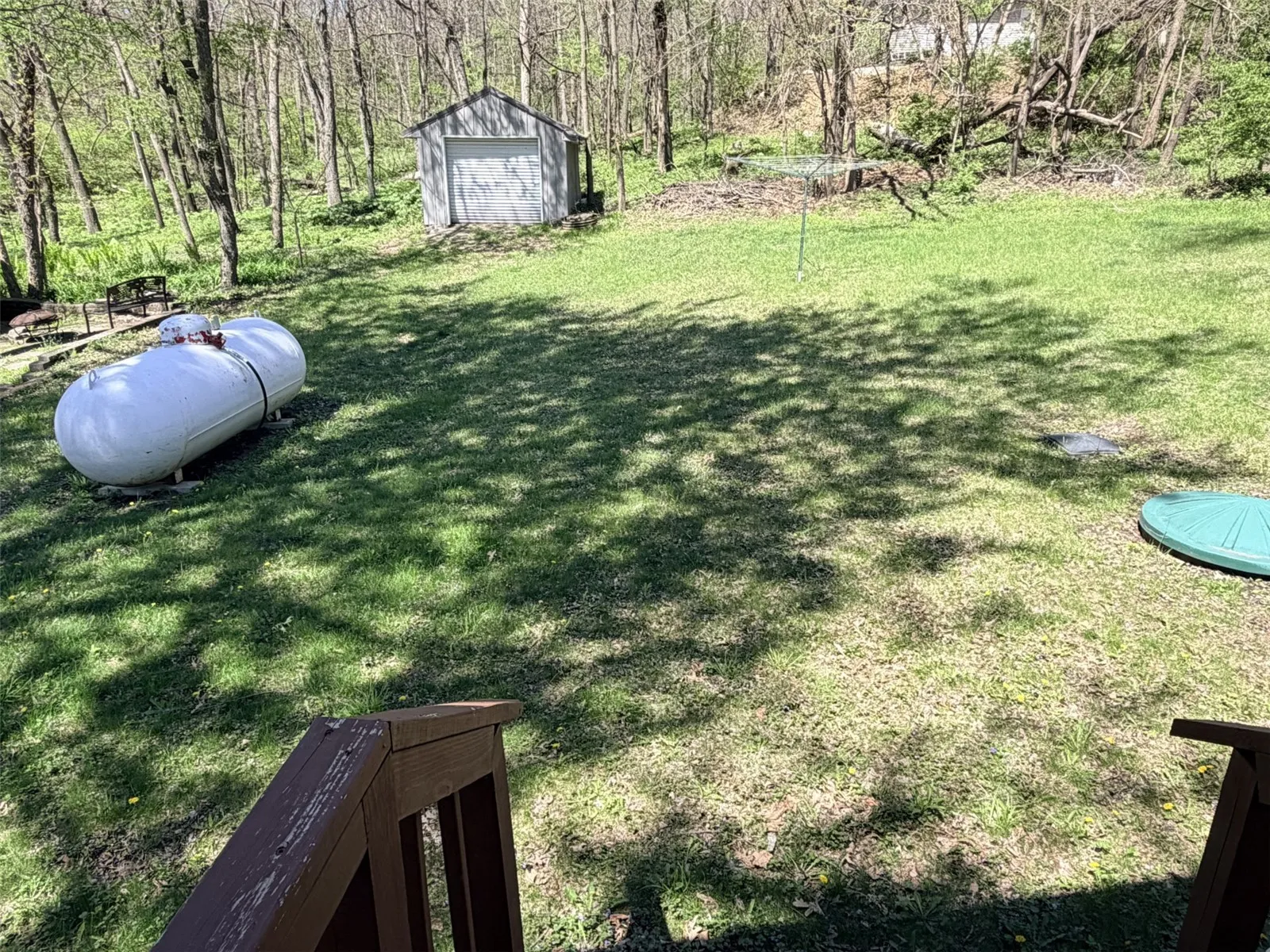 Back yard