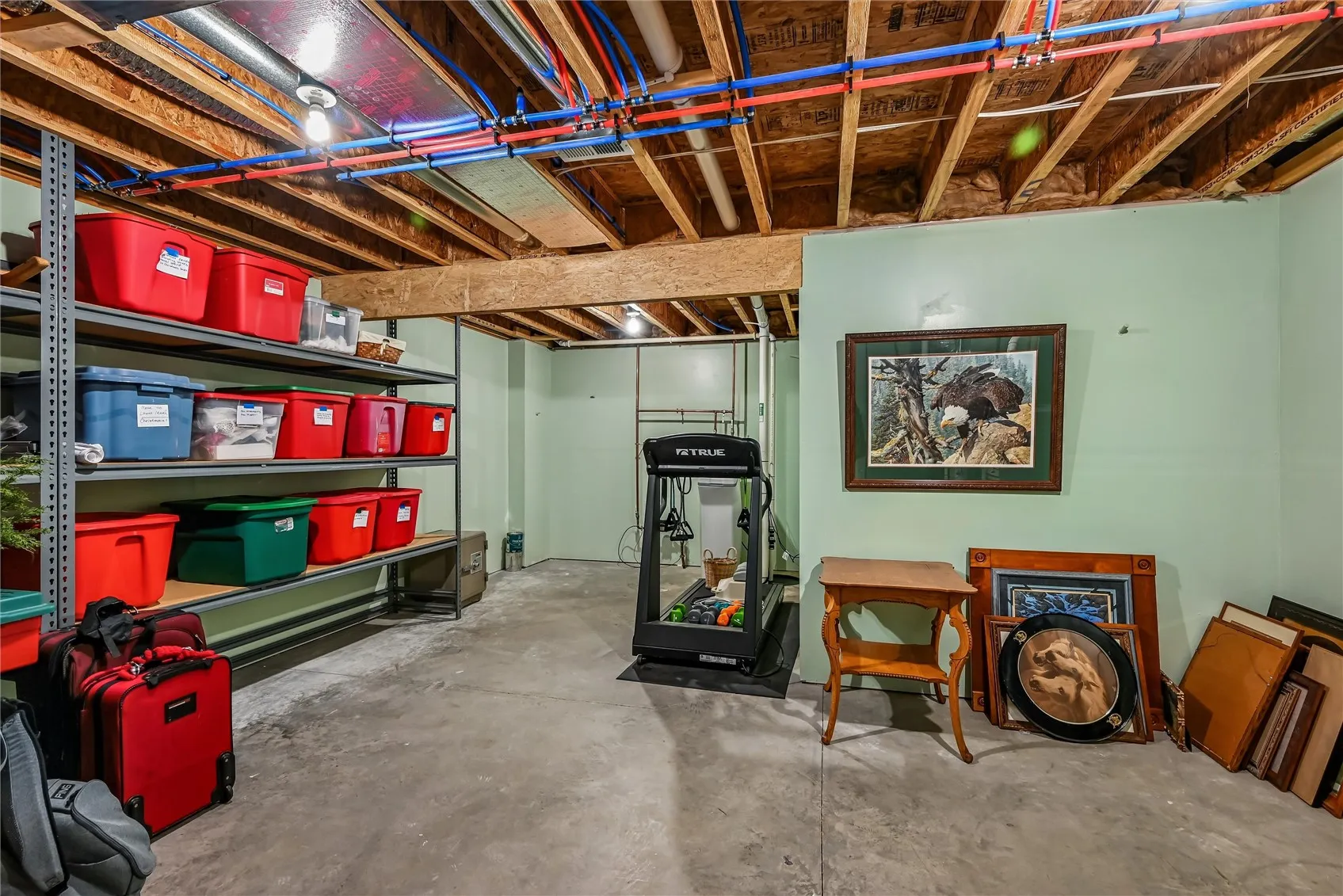 Lg Storage Area - workout