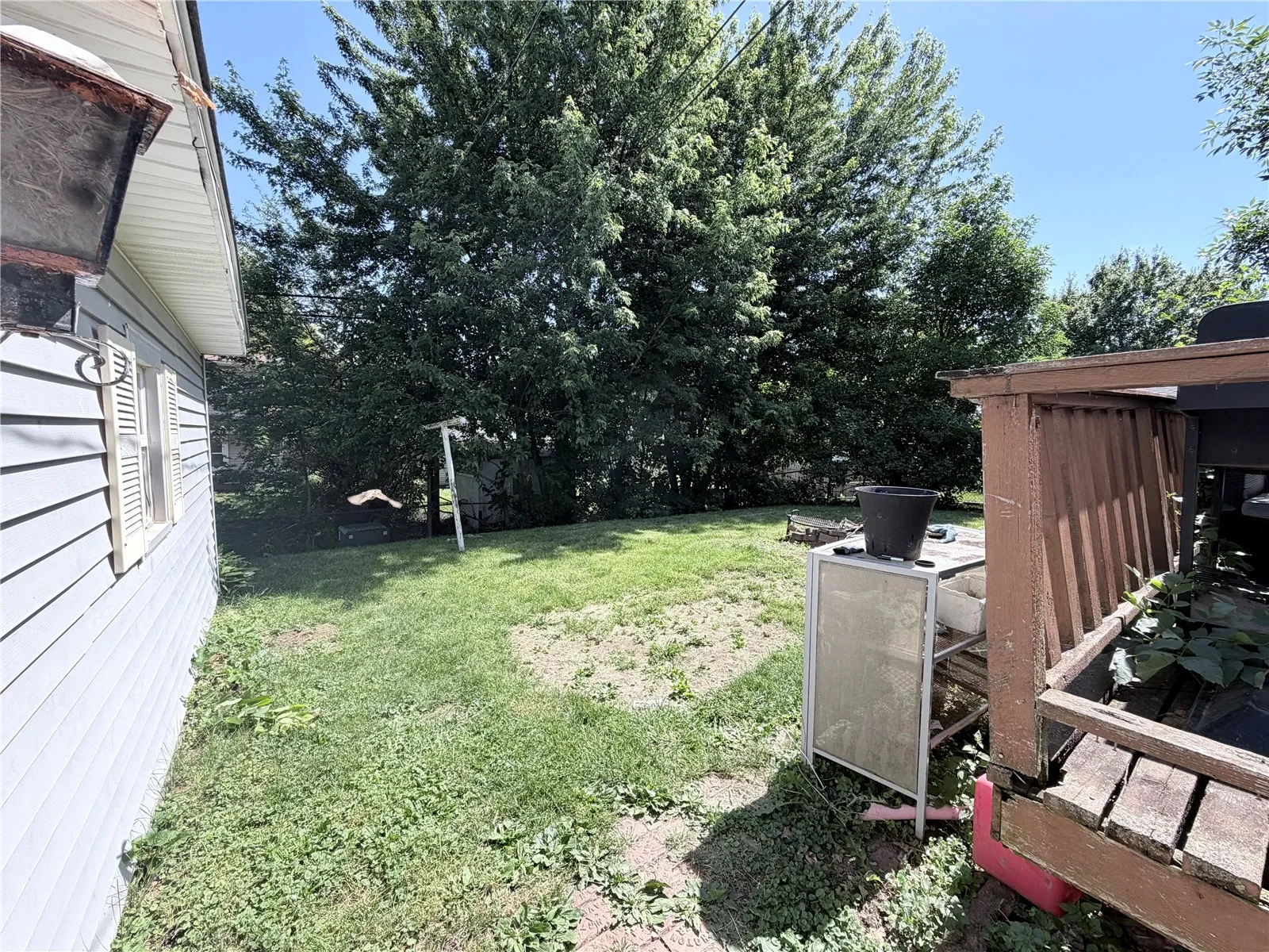 Backyard