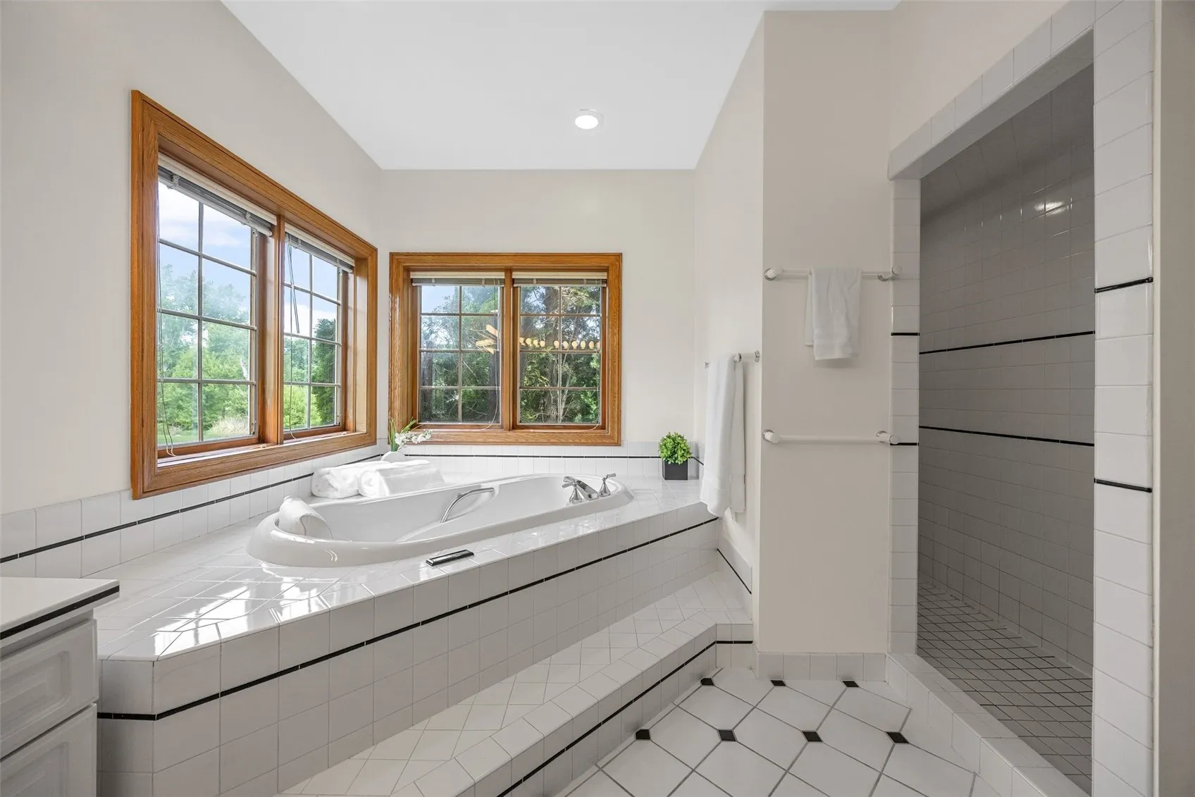 Jetted tub w/ canopy views