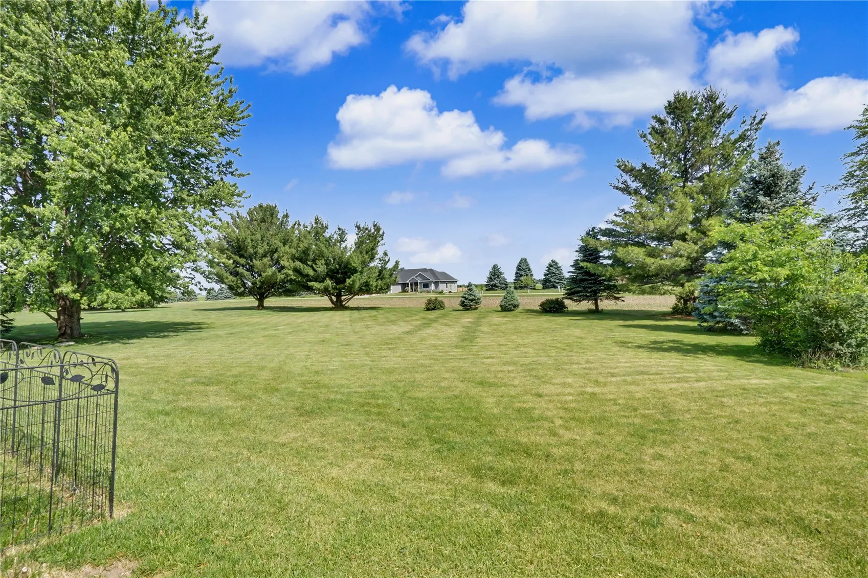 huge back yard