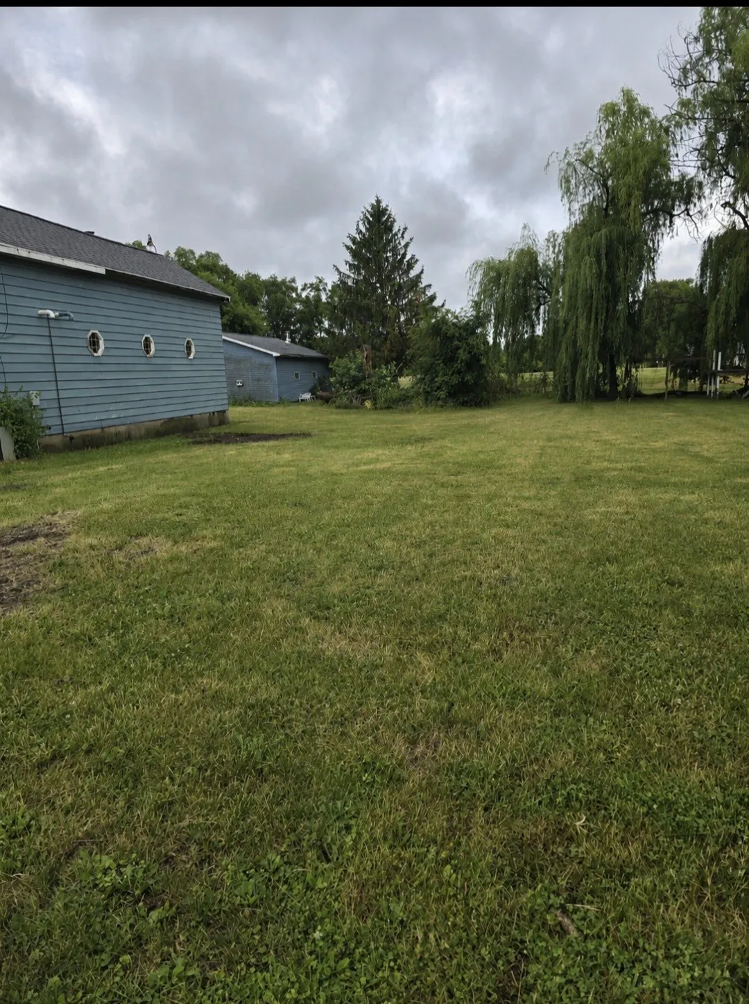 back yard