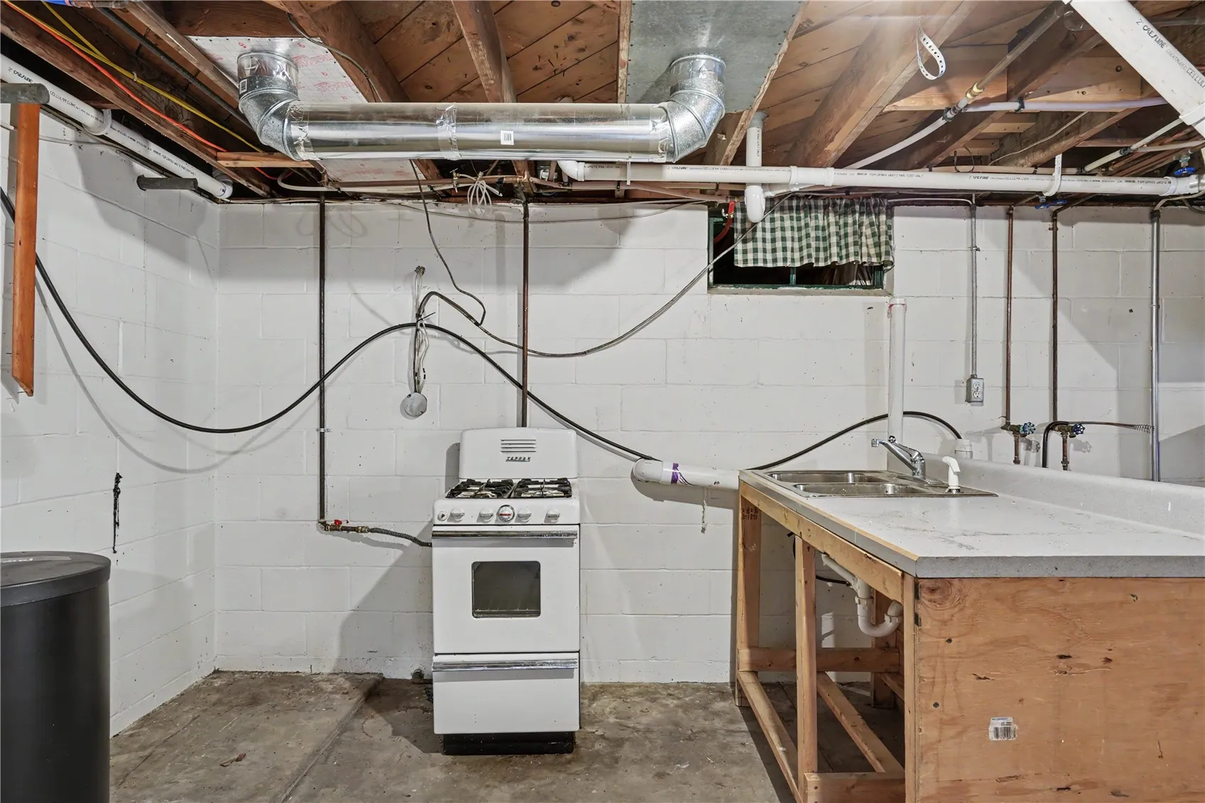 Basement Canning Kitchen