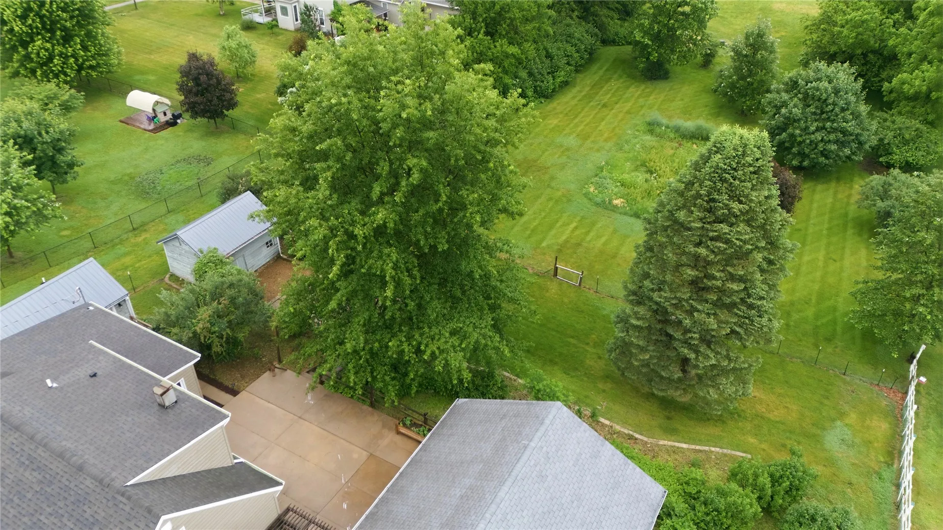 Aerial Backyard