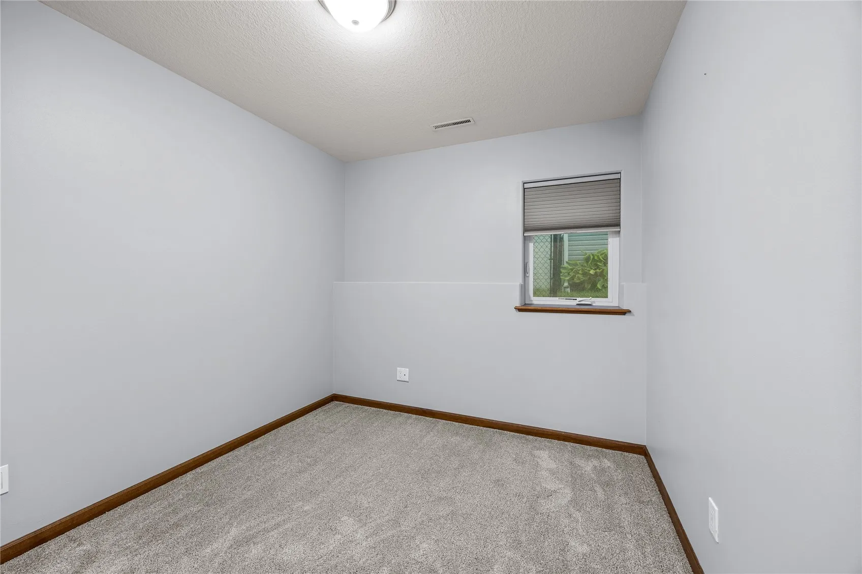 Flex room lower level