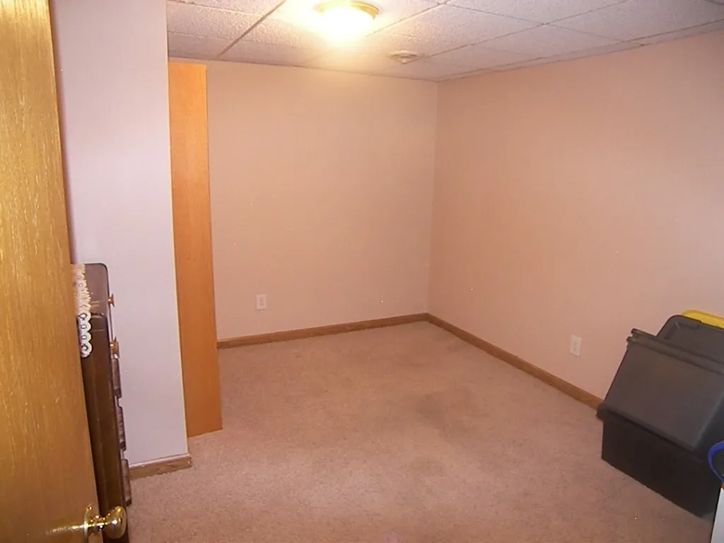 Lower Level Bonus Room