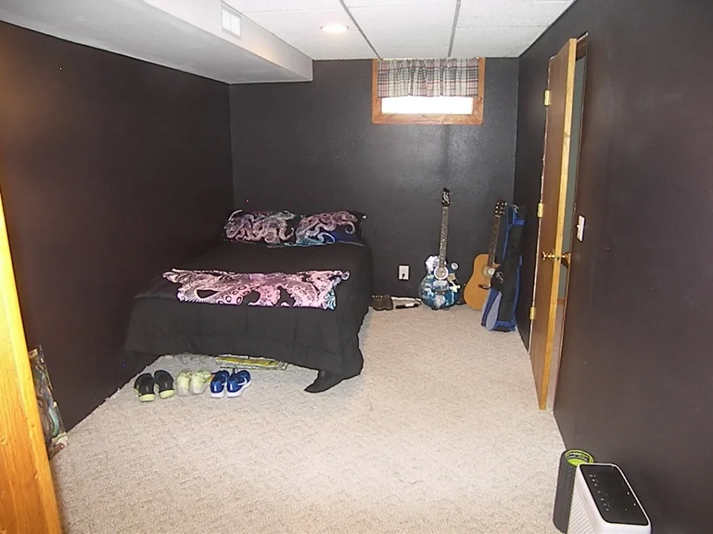 Lower Level Bonus Room