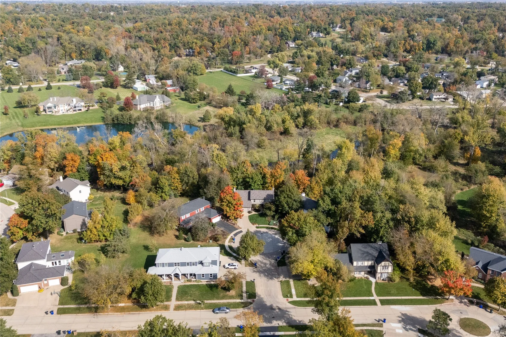 Fall Foliage
