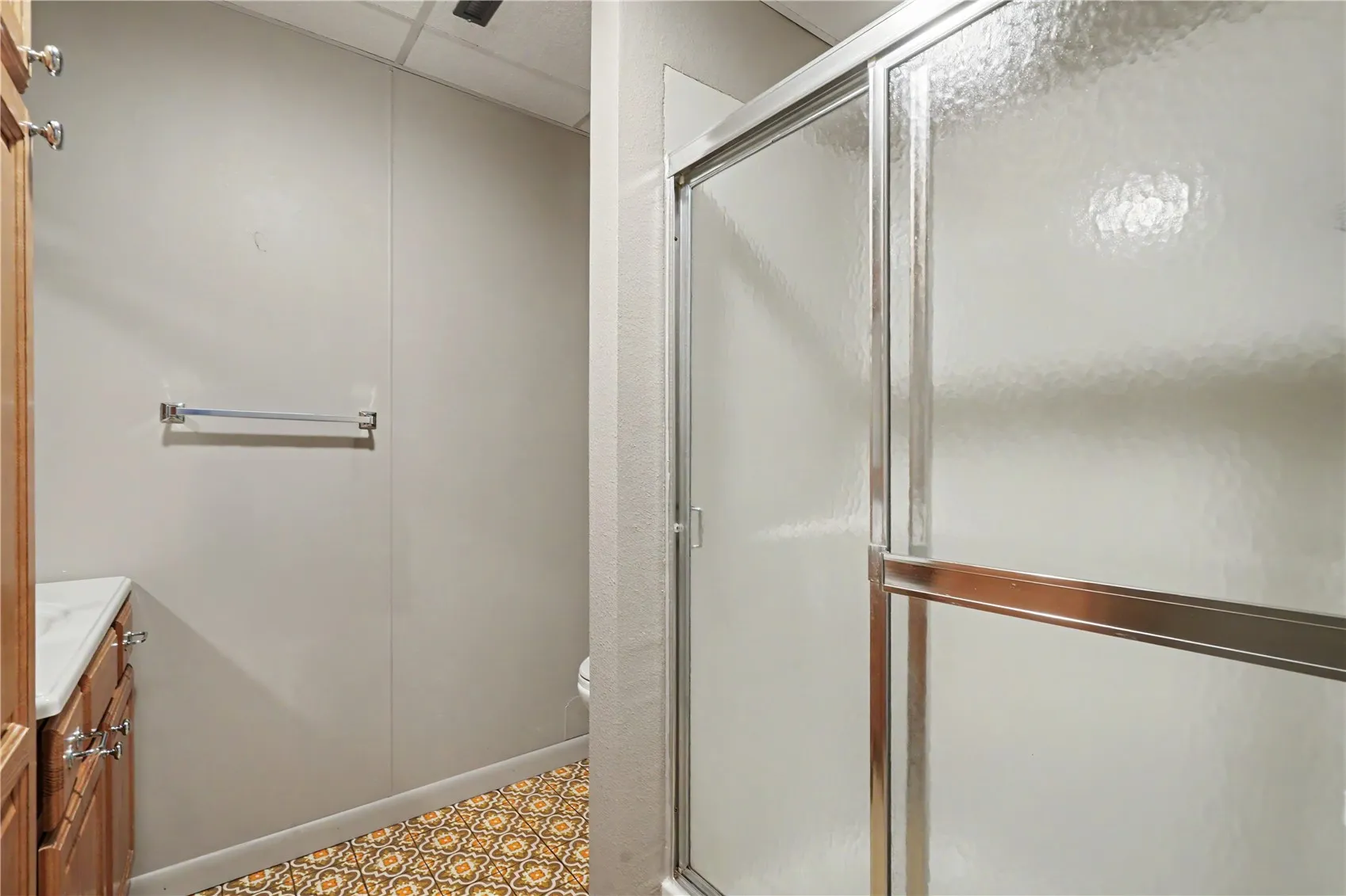 Lower Level Bathroom