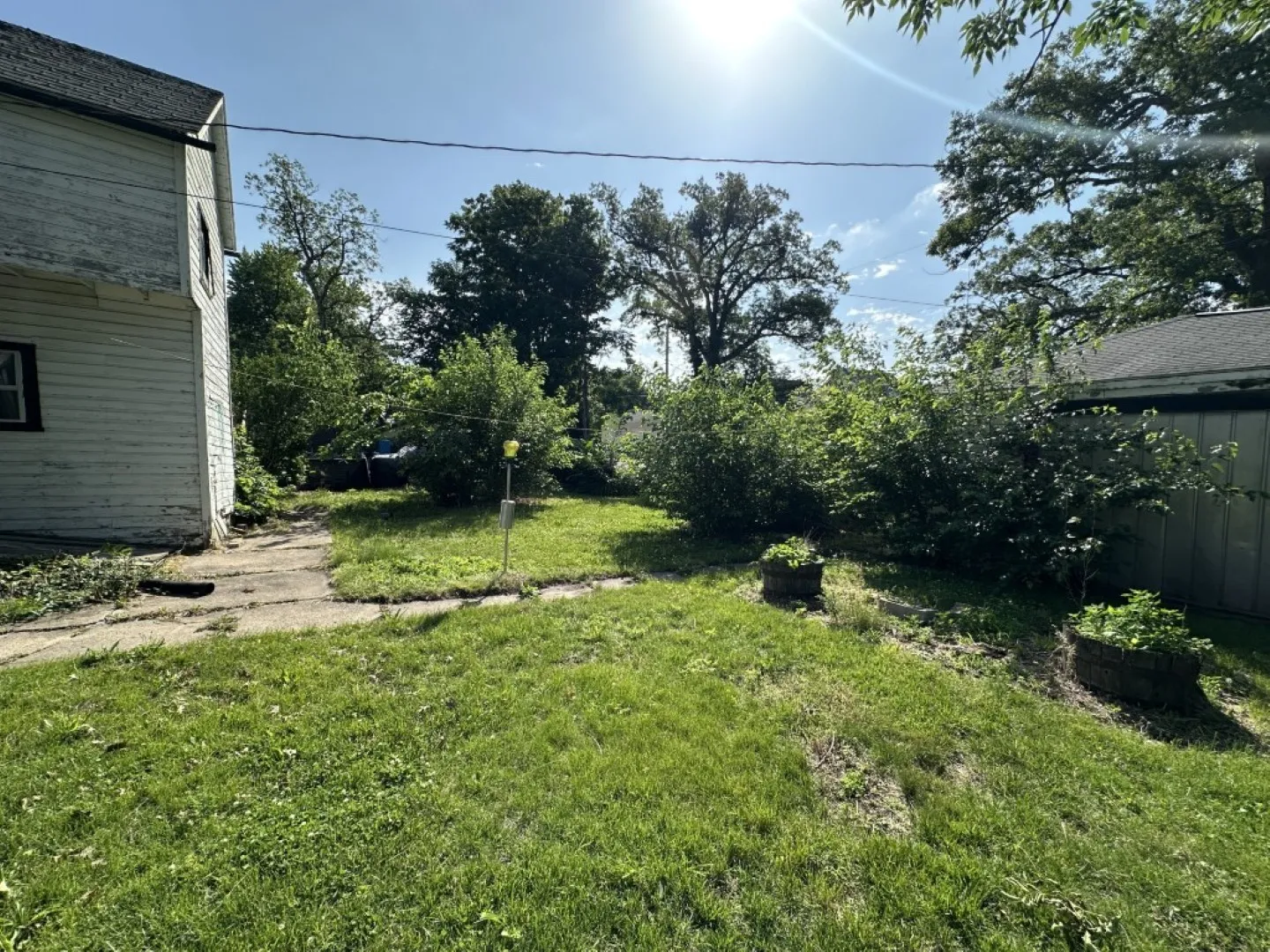 Back yard
