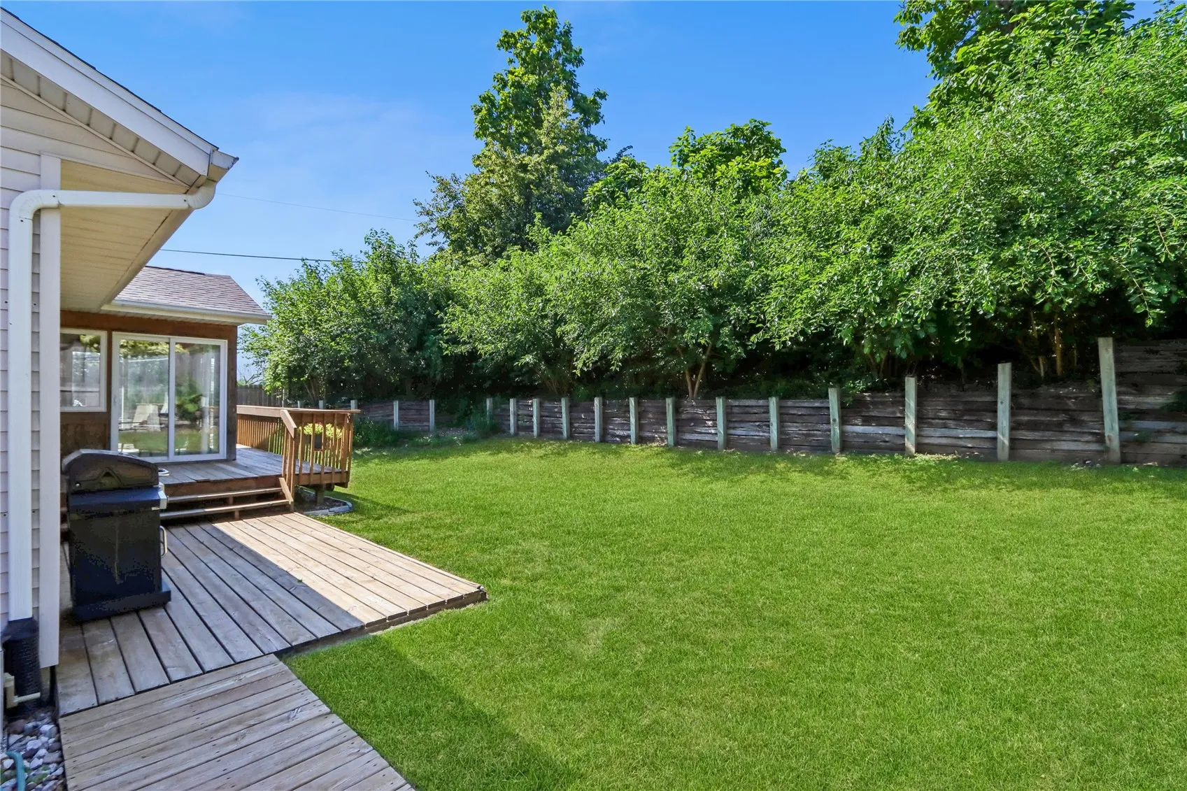 Deck / Backyard