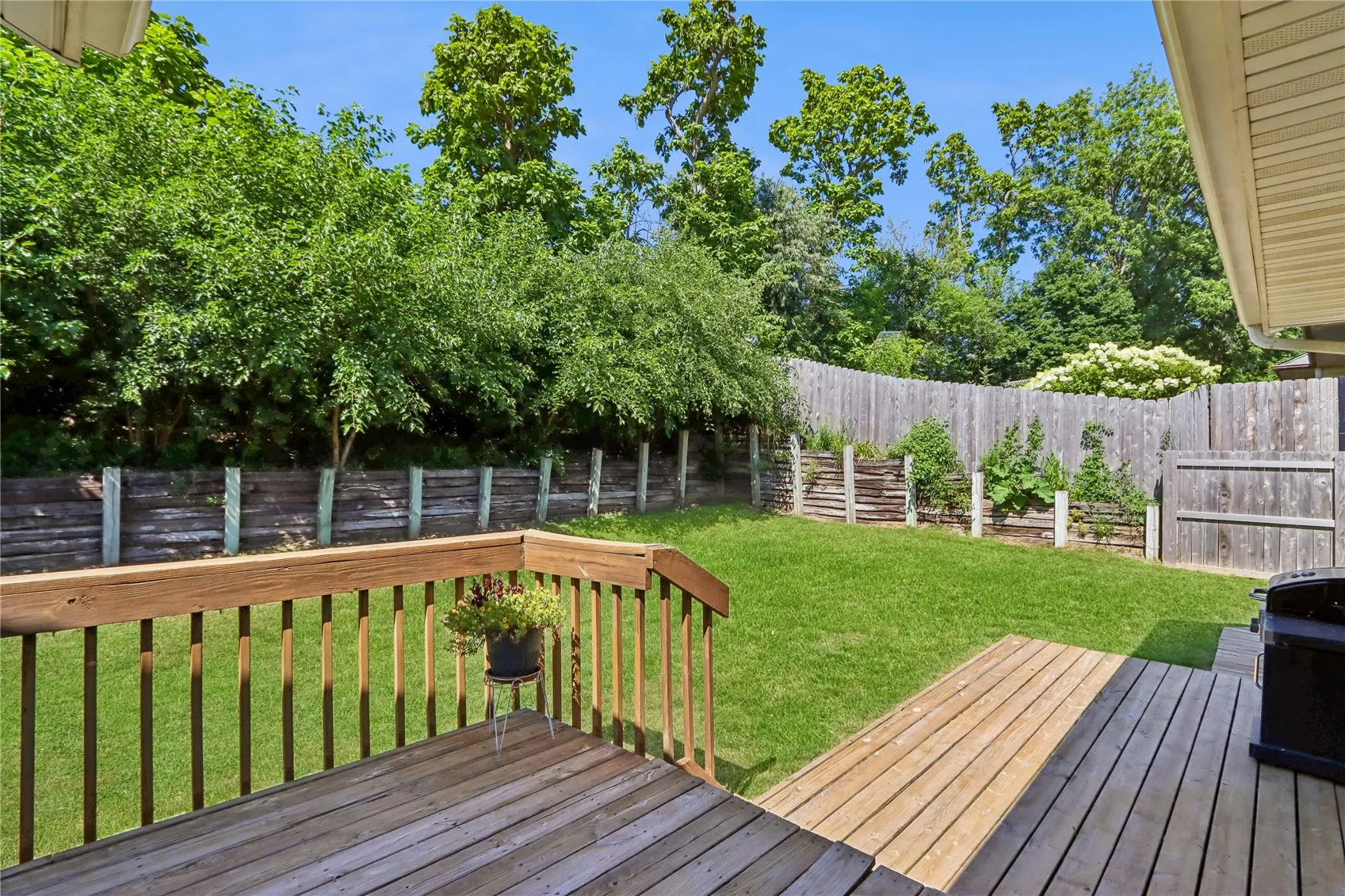 Deck / Backyard
