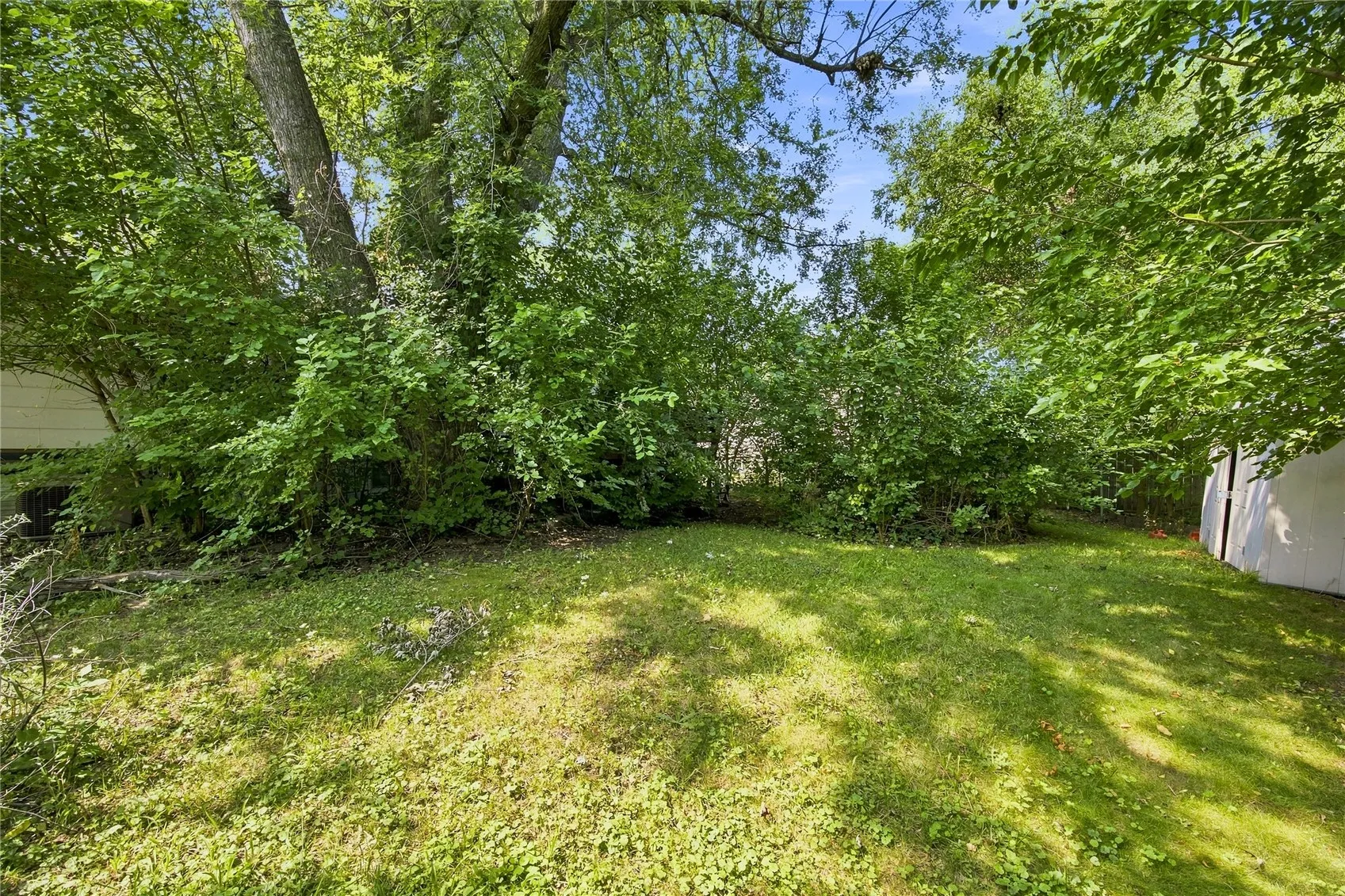 Mature shade trees in backyard.