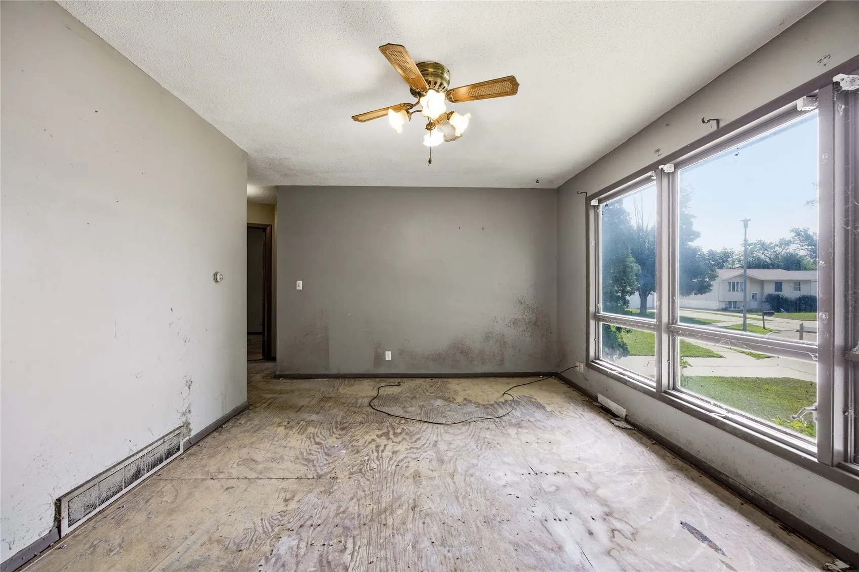 Abundant natural light.