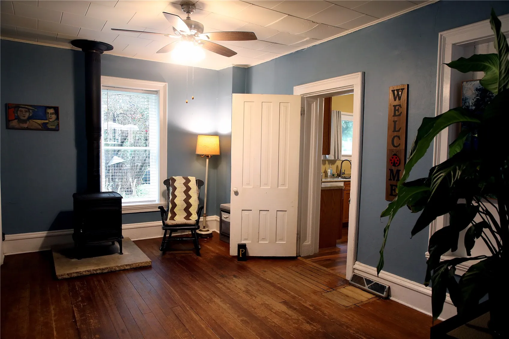 Wood Burning Stove