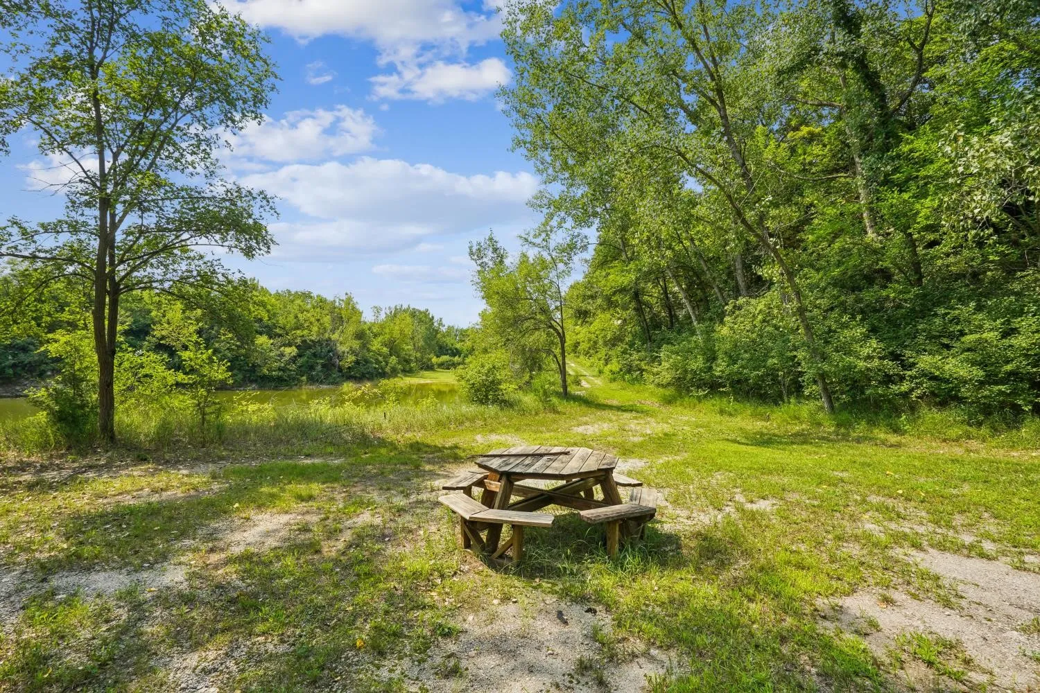 Campsite area near pond