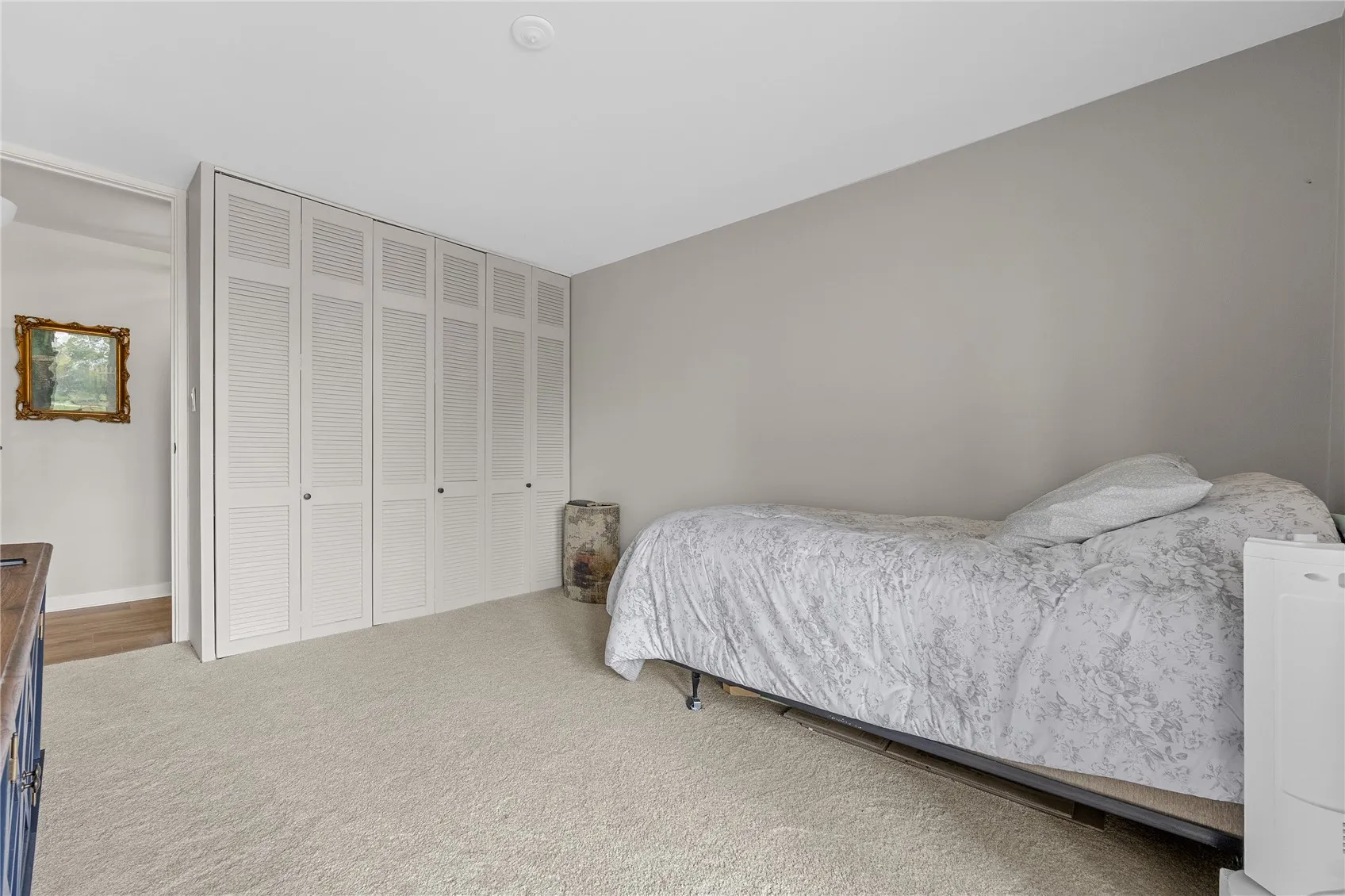 Bedroom #2 closet.