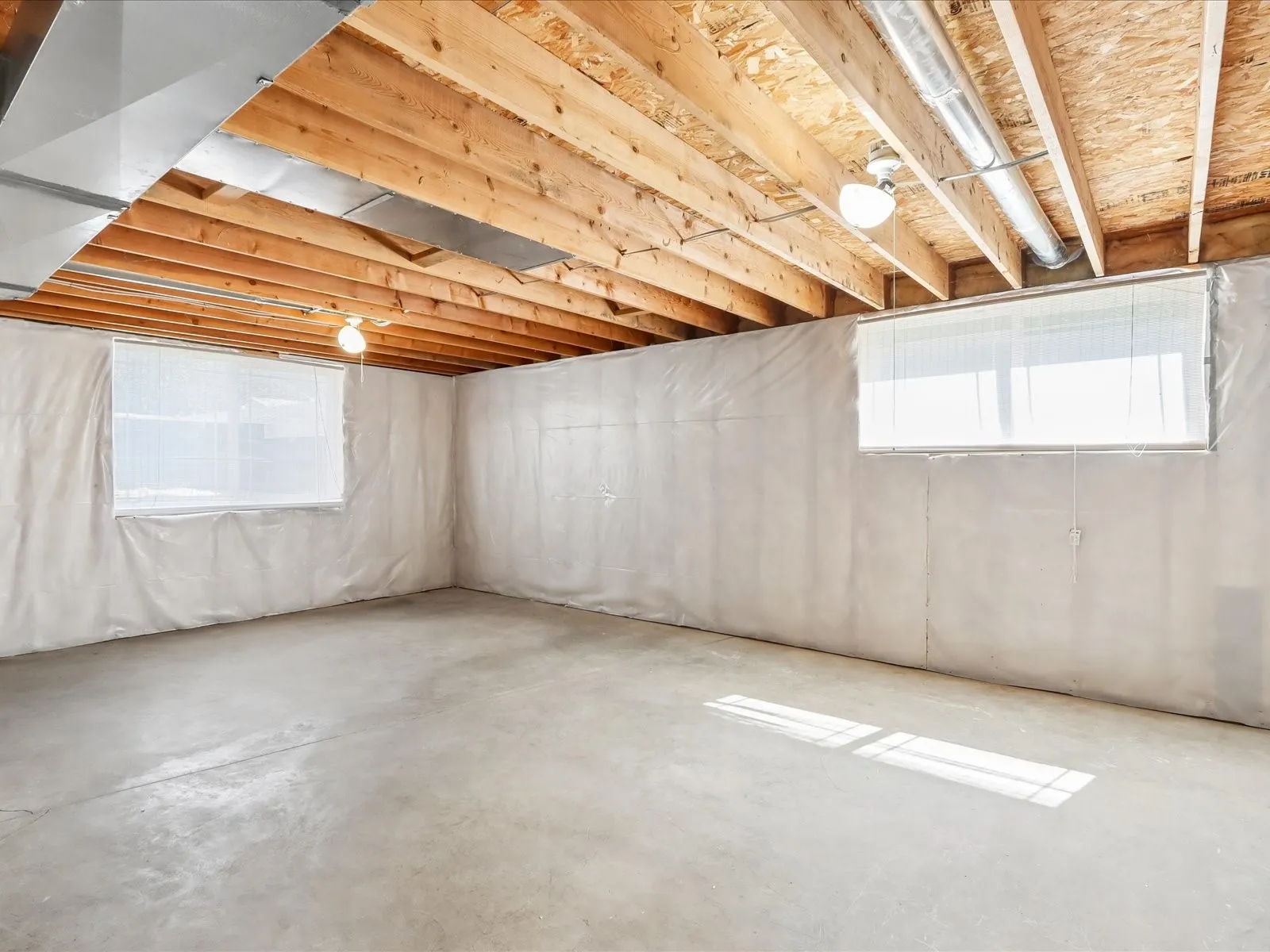 Unfinished Basement