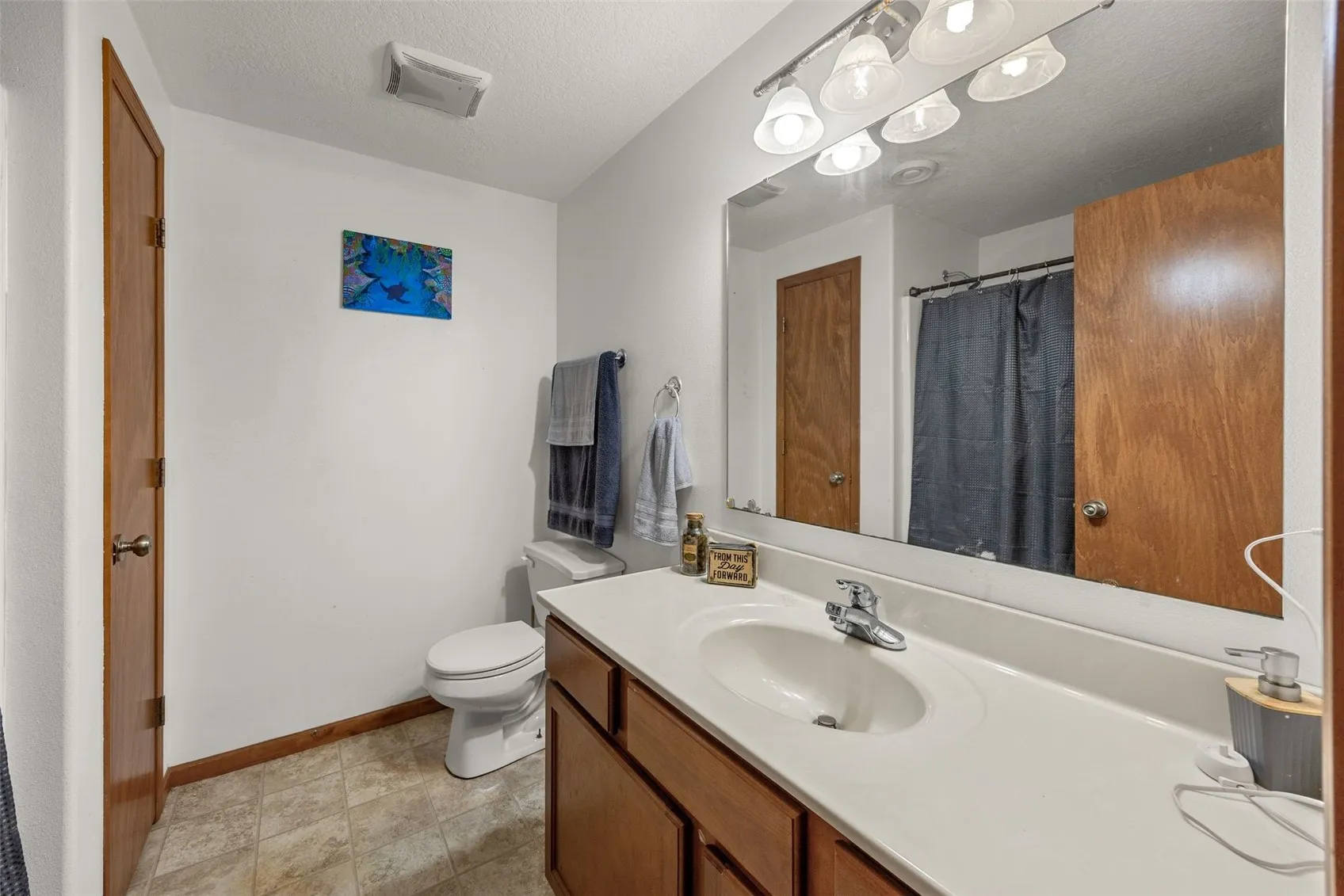 Lower level bathroom