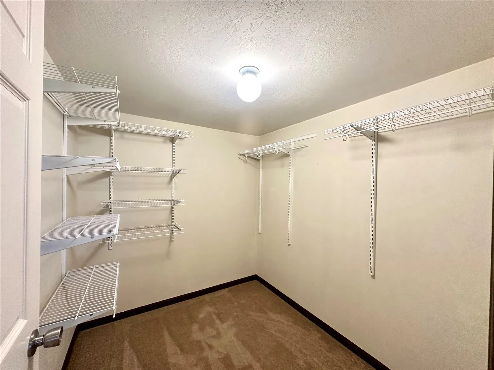 Lower Level Bedroom with walk-in Large Closet.