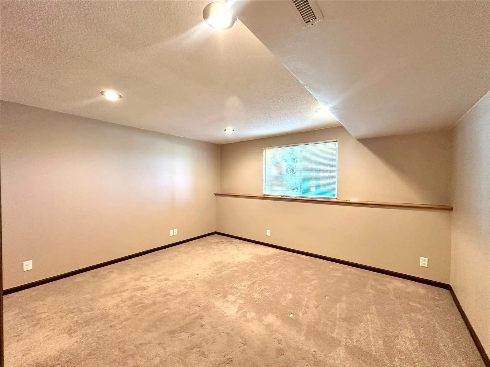 Lower Level Spacious 3rd Bedroom.