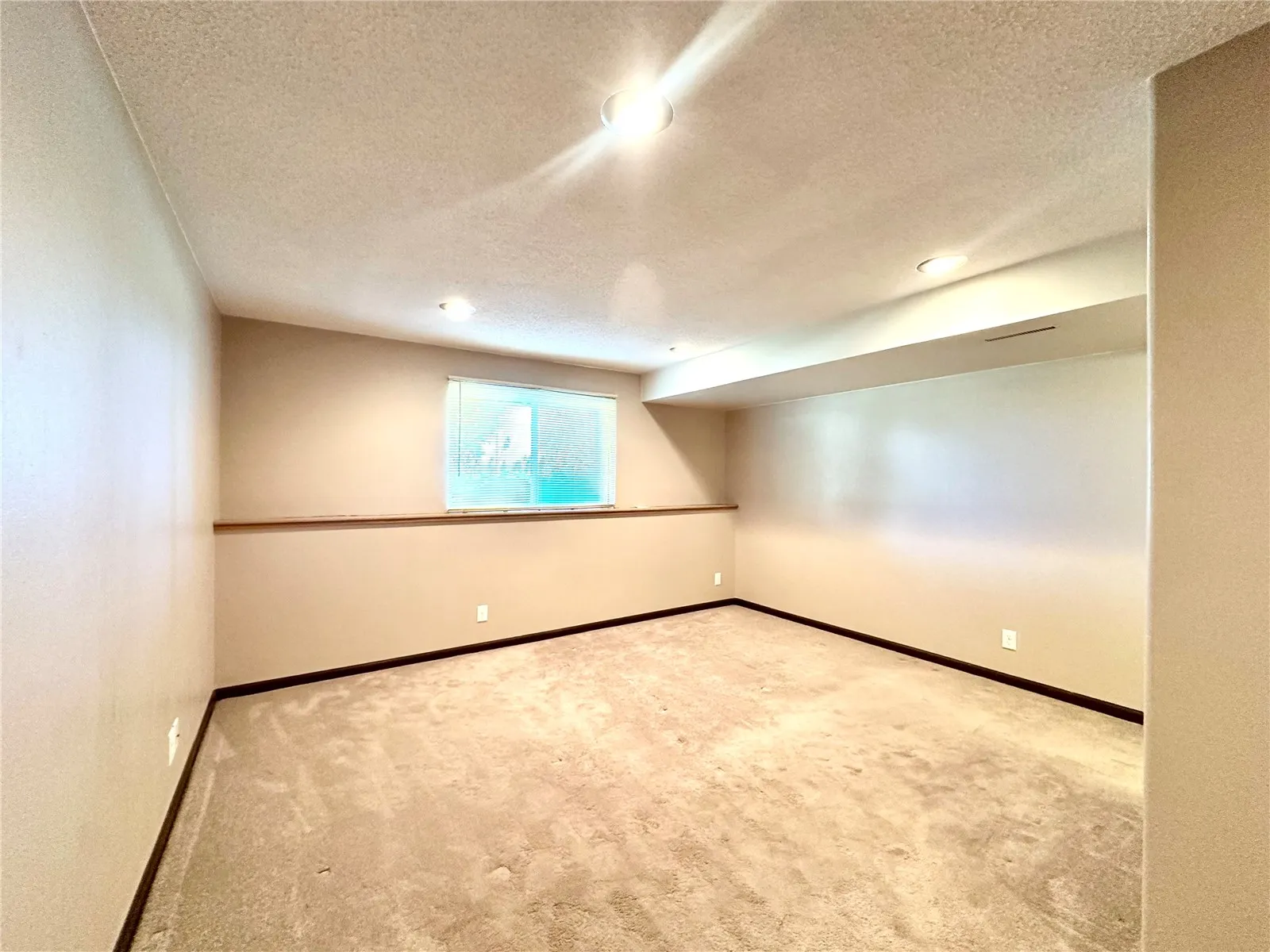 Lower Level Spacious 3rd Bedroom.