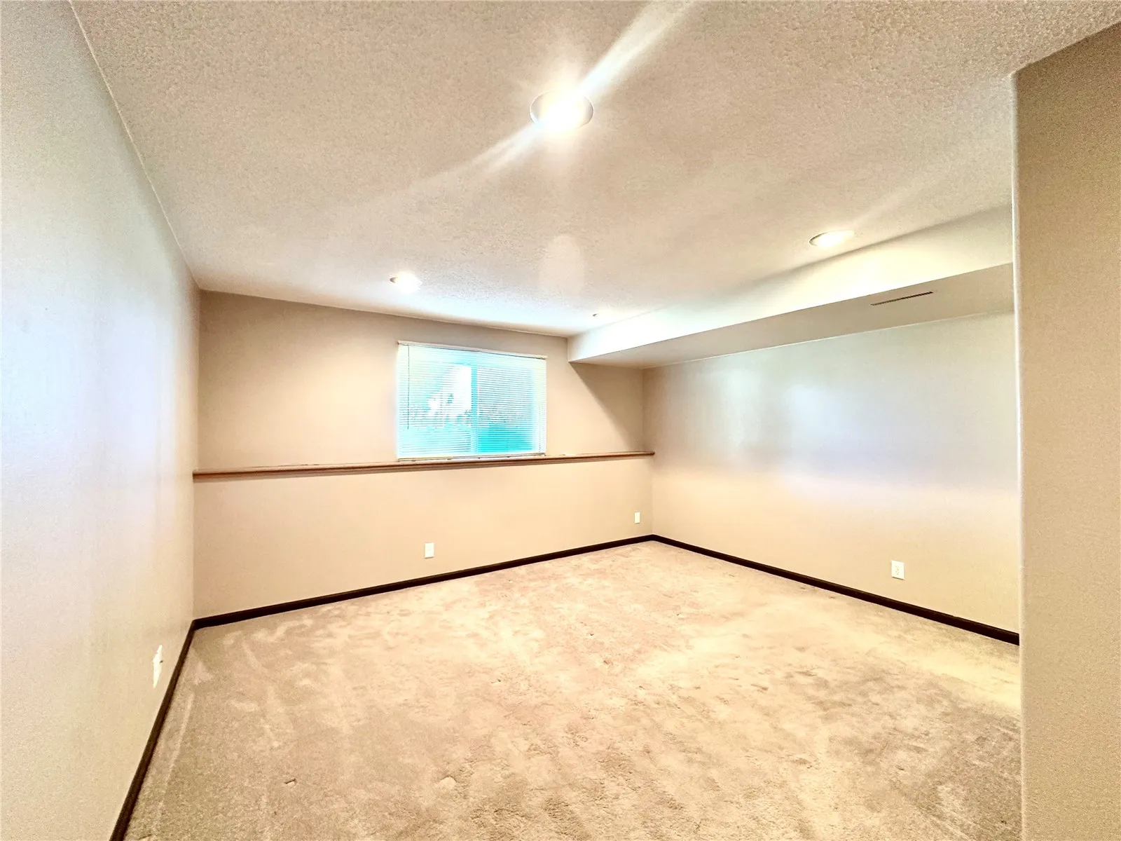 Lower Level Spacious 3rd Bedroom.