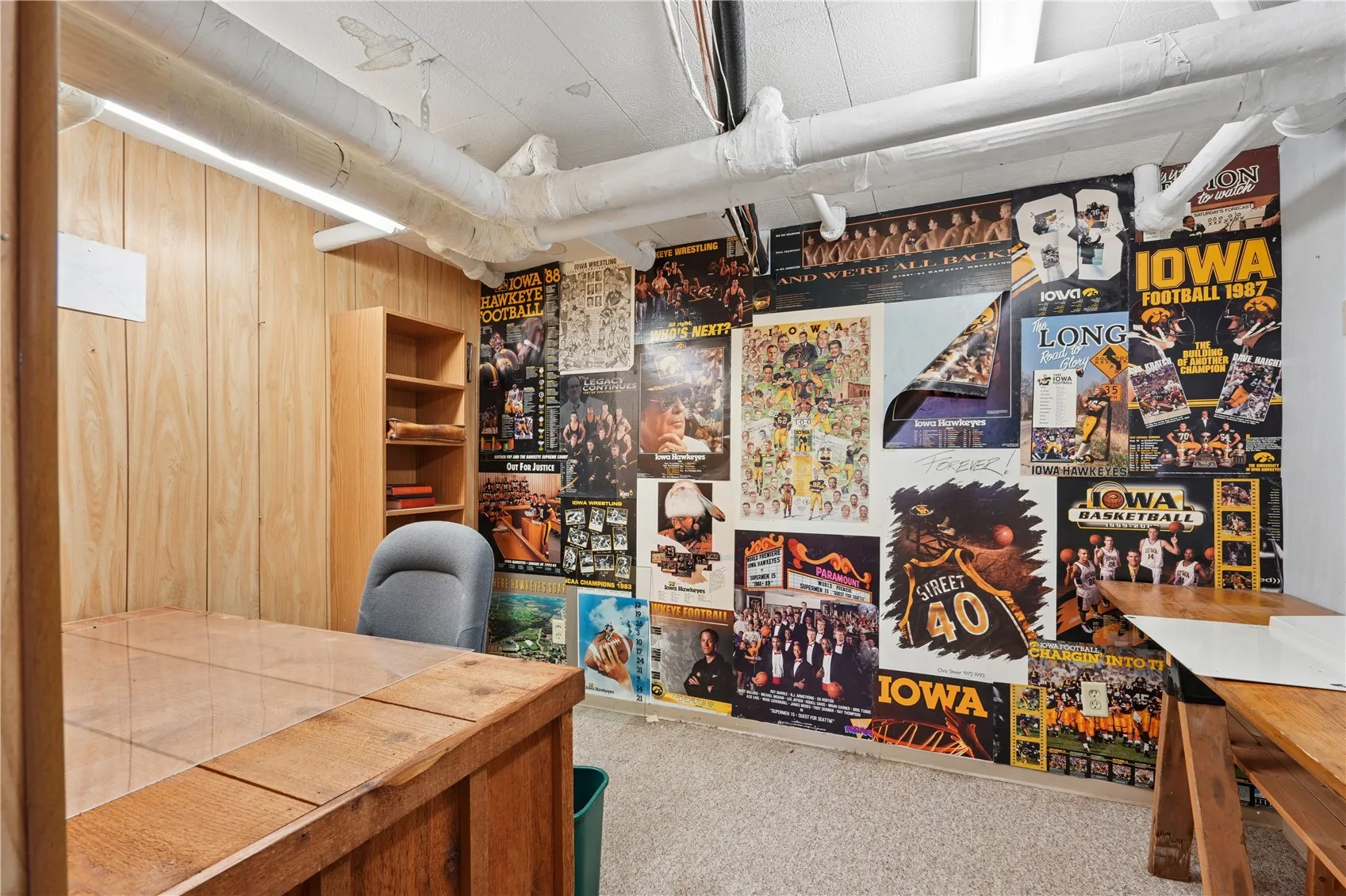 Basement Office